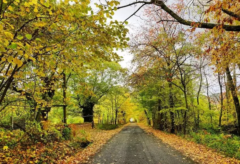 Hotelli Agriturismo Bio I Rondinelli