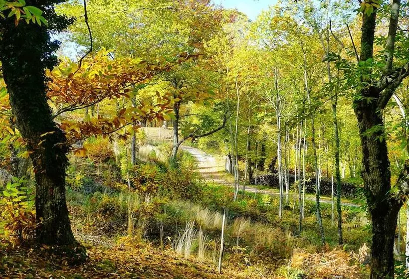 Hotelli Agriturismo Bio I Rondinelli