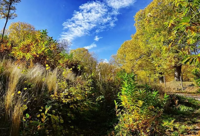 Hotelli Agriturismo Bio I Rondinelli