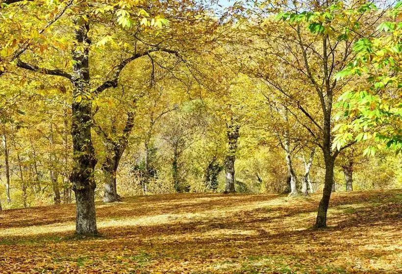 Hotelli Agriturismo Bio I Rondinelli