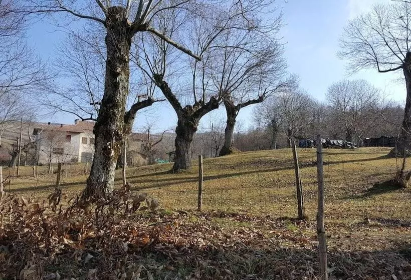 Hotelli Agriturismo Bio I Rondinelli