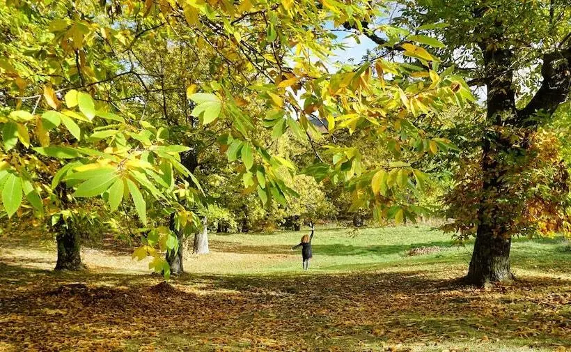 Hotelli Agriturismo Bio I Rondinelli