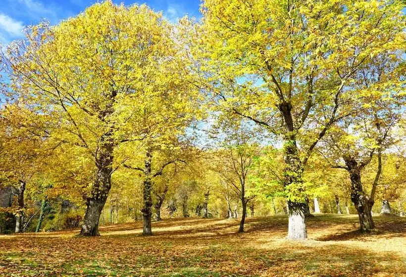 Hotelli Agriturismo Bio I Rondinelli