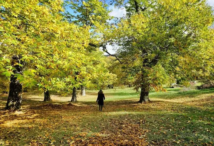 Hotelli Agriturismo Bio I Rondinelli