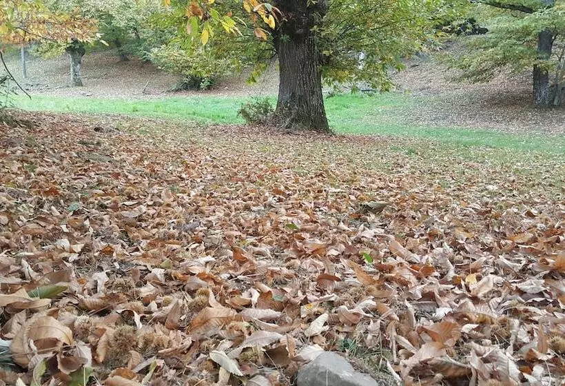 Hotelli Agriturismo Bio I Rondinelli