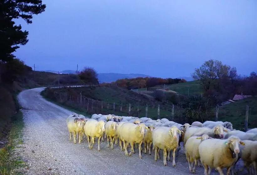 Hotelli Agriturismo Bio I Rondinelli