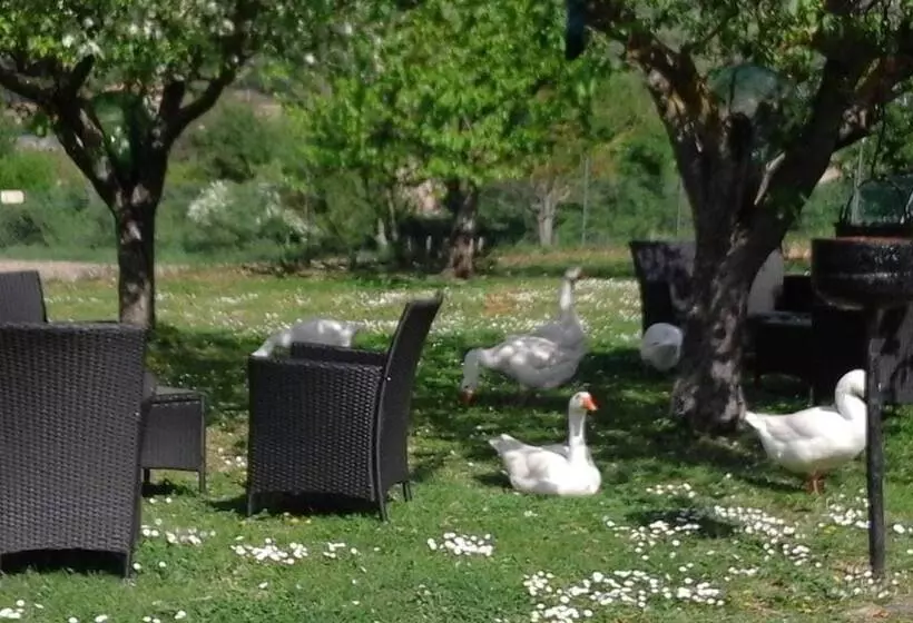 Hotelli Agriturismo Cà Sorci