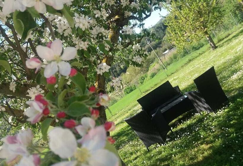 酒店 Agriturismo Cà Sorci