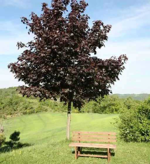 ホテル Agriturismo Caiburroni
