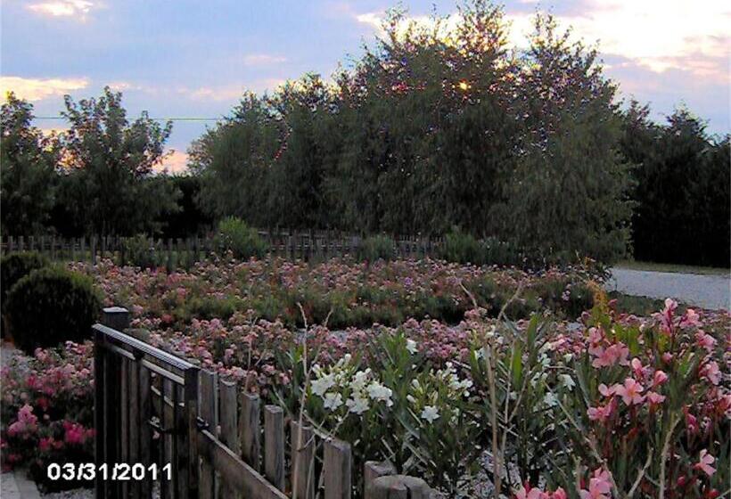 호텔 Agriturismo Il Magicorto