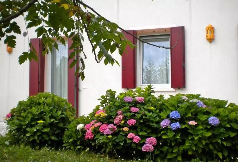 هتل Agriturismo Il Magicorto