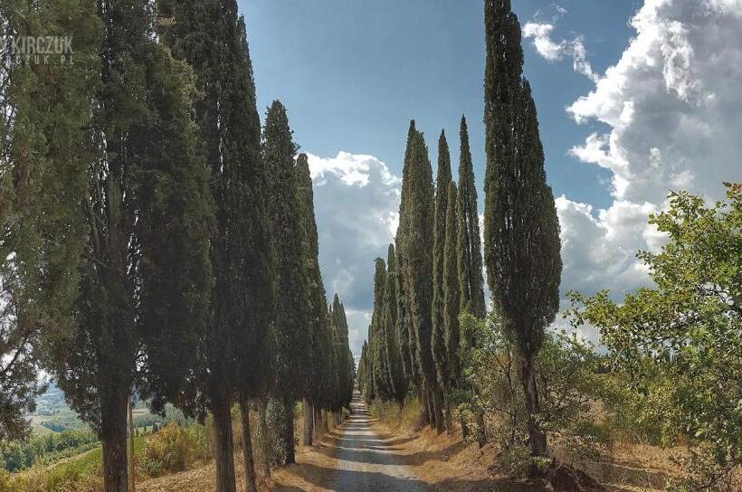 Отель Agriturismo Villino Del Grillo