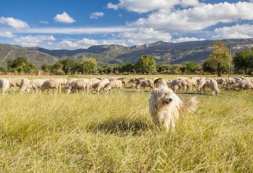 ホテル I Mandorli