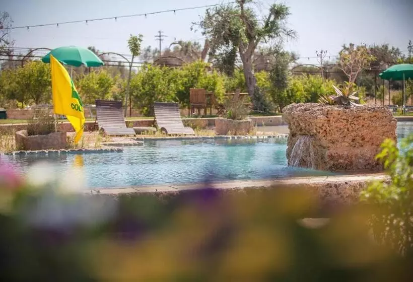 ホテル Agriturismo Li Calizzi Arte E Natura