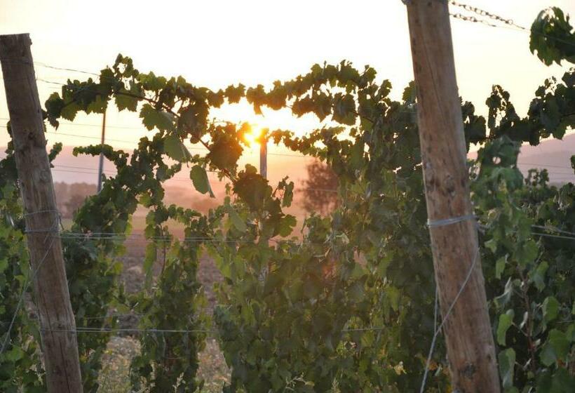 בית מלון כפרי Morami Wine Agriturismo