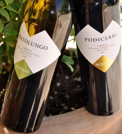 ホテル Morami Wine Agriturismo