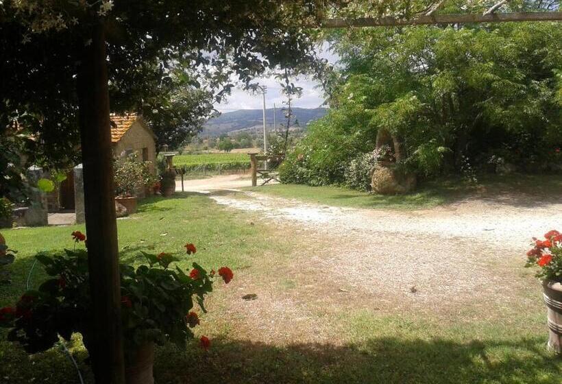 בית מלון כפרי Poggio Dell Olivo