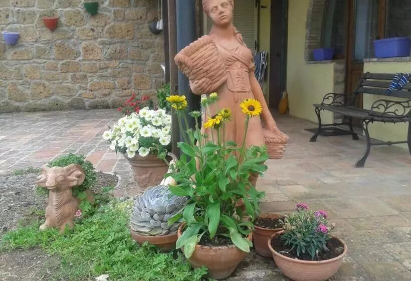 ホテル Poggio Dell Olivo