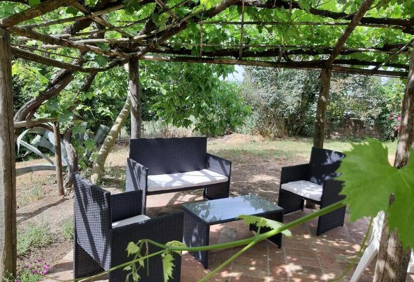 בית מלון כפרי Poggio Dell Olivo
