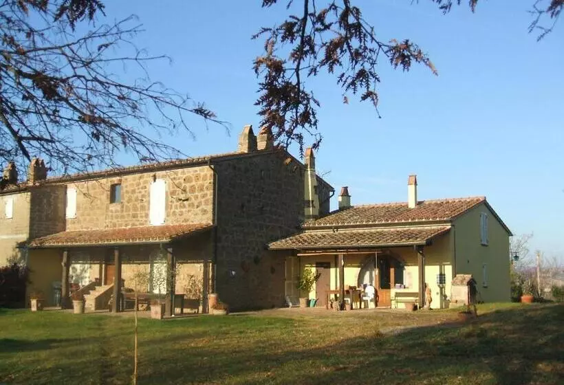 ホテル Poggio Dell Olivo