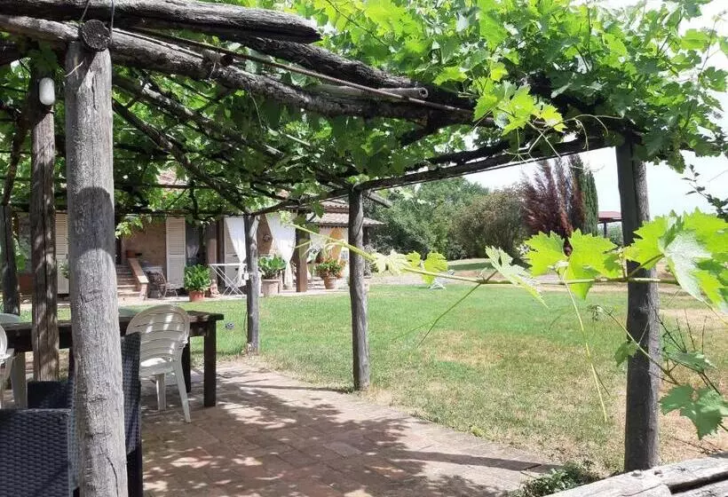 ホテル Poggio Dell Olivo