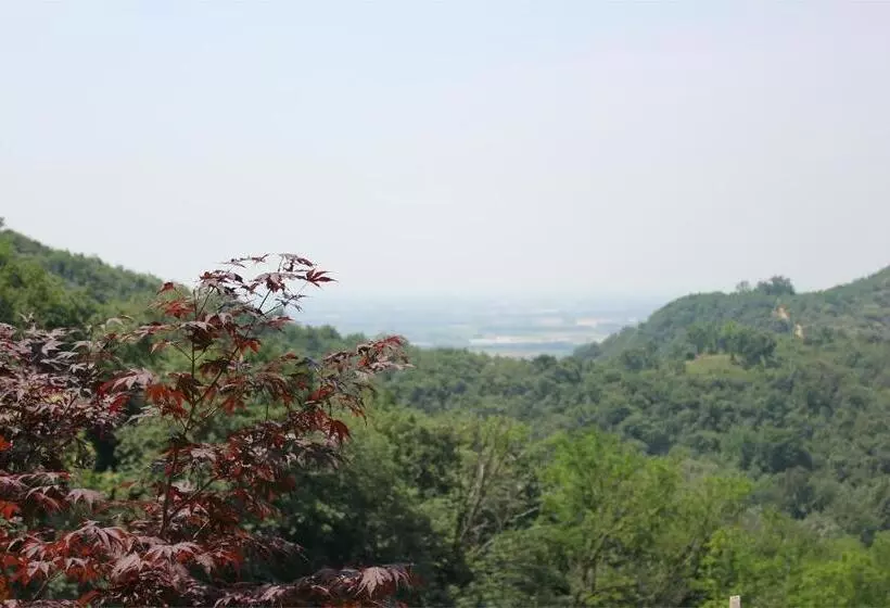 ホテル Agriturismo Casa Adea