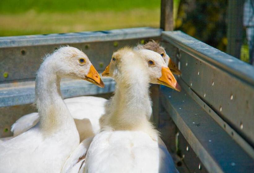 Отель Agriturismo Cognanello