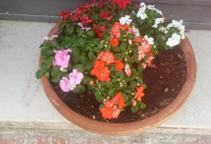 فندق Agriturismo Il Solaio