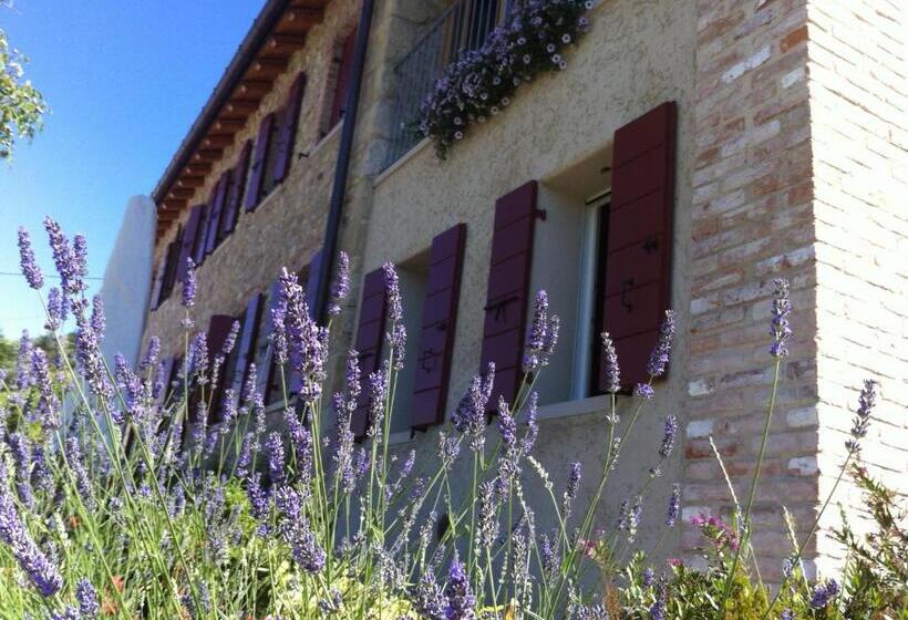 Отель Le Pervinche