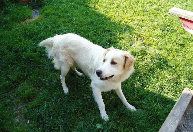 Отель Oberschoellberghof