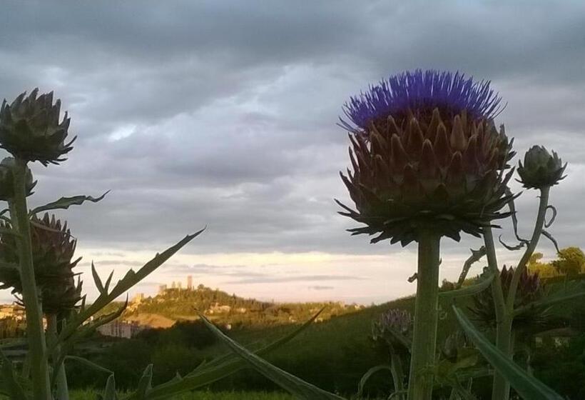 Отель Podere Montese Country House