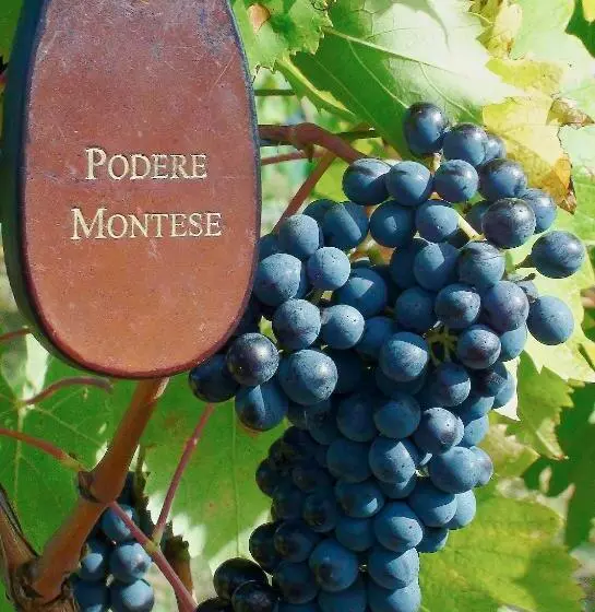 ホテル Podere Montese Country House