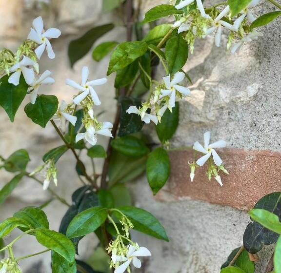 Отель Podere Montese Country House