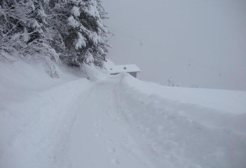 בית מלון כפרי Ratzeshof