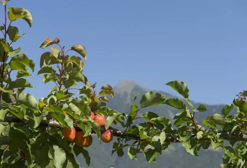 Pension Etschland