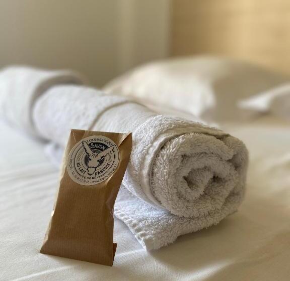 هاستل Auberge De Jeunesse