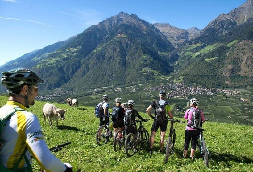 Apparthotel Taufenbrunn