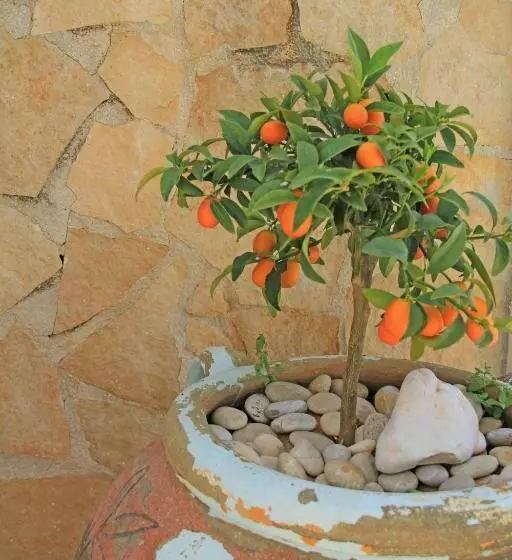 Centro Vacanze Piccolo Friuli