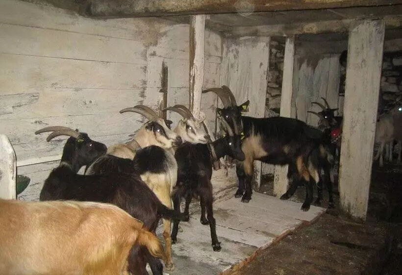 Hotelli Agriturismo Alagna