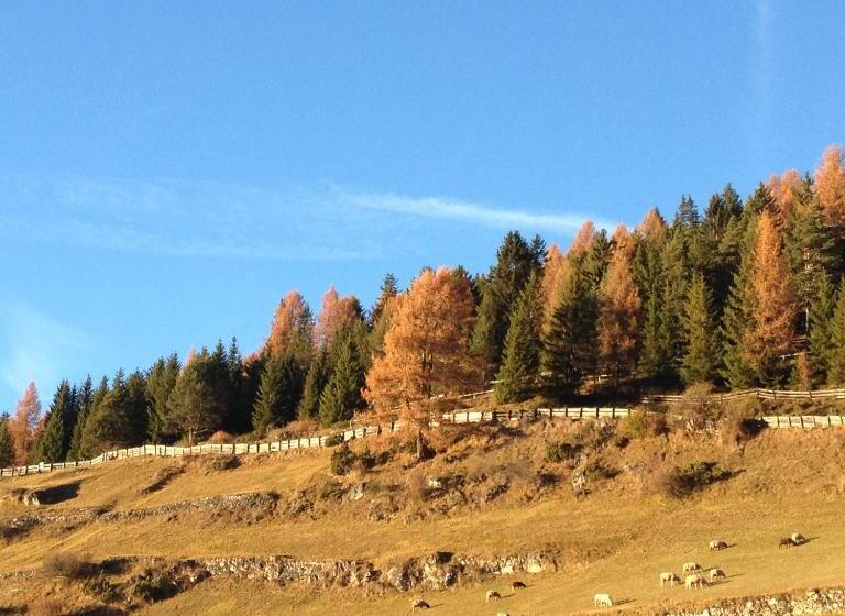 Hotell Agriturismo Maso Larciunei