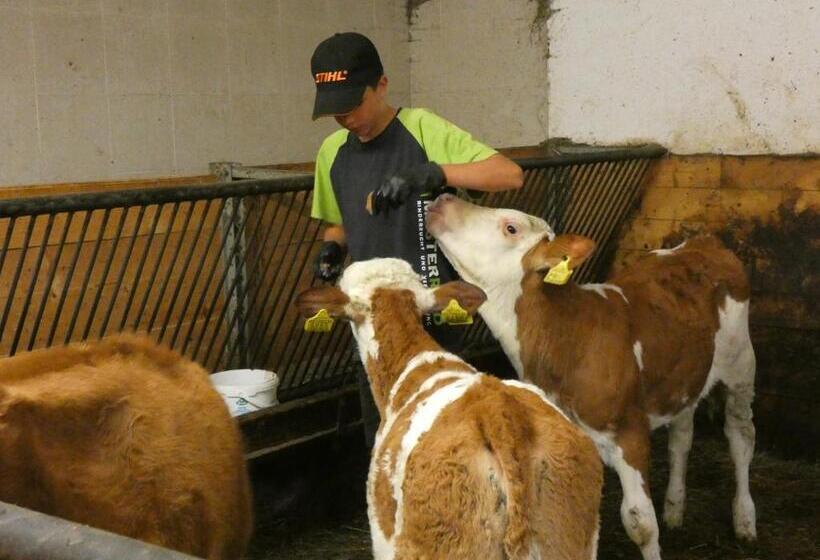 Hotell Agriturismo Maso Larciunei