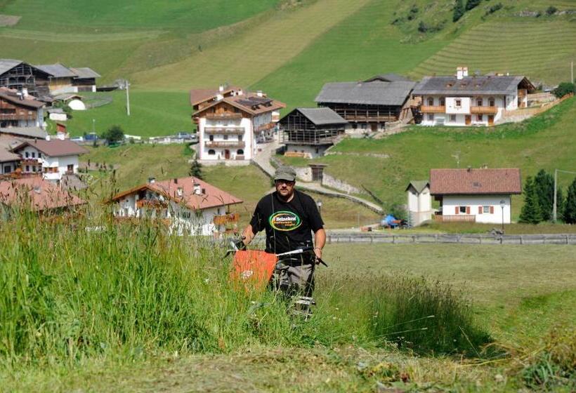 Hotell Agriturismo Maso Larciunei