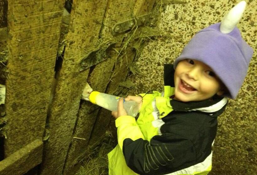 Hotell Agriturismo Maso Larciunei