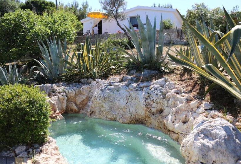 호텔 Albergo Biscotti