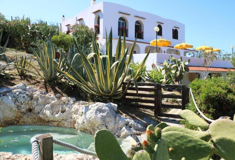 호텔 Albergo Biscotti