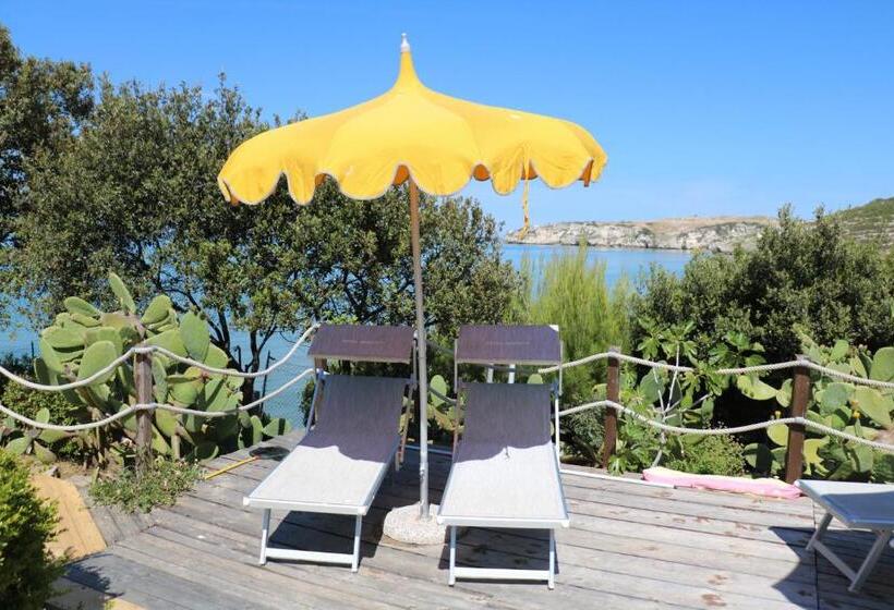 호텔 Albergo Biscotti