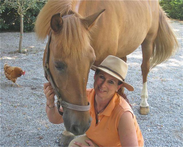 호텔 Centro Ippico Della Berardenga