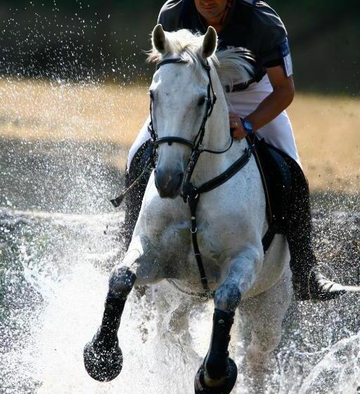 호텔 Centro Ippico Della Berardenga