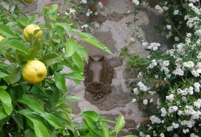ホテル Centro Ippico Della Berardenga