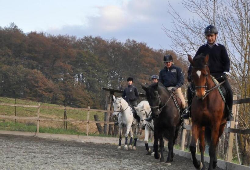 호텔 Centro Ippico Della Berardenga